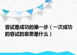 尝试是成功的第一步（一次成功的尝试的意思是什么）