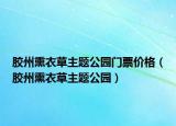 胶州熏衣草主题公园门票价格（胶州熏衣草主题公园）