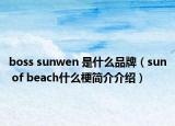 boss sunwen 是什么品牌（sun of beach什么梗简介介绍）