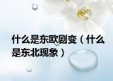 什么是东欧剧变（什么是东北现象）