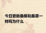 今日更新桑椹和桑葚一样吗为什么