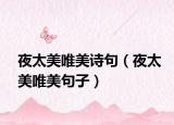 夜太美唯美诗句（夜太美唯美句子）