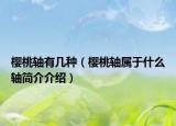 樱桃轴有几种（樱桃轴属于什么轴简介介绍）