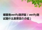 哪里有verify测评题（verify测试是什么意思简介介绍）