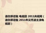 请你原谅我 电视剧 2011央视网（请你原谅我 2011年吴秀波主演电视剧）