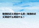 敏捷的近义词是什么词（敏捷的近义词是什么词是什么）