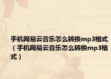 手机网易云音乐怎么转换mp3格式（手机网易云音乐怎么转换mp3格式）