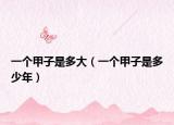 一个甲子是多大（一个甲子是多少年）