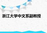 浙江大学中文系副教授