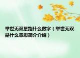 举世无双是指什么数字（举世无双是什么意思简介介绍）