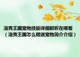 洛克王国宠物技能详细解析在哪看（洛克王国怎么赠送宠物简介介绍）