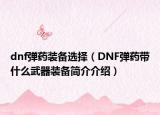 dnf弹药装备选择（DNF弹药带什么武器装备简介介绍）