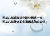 天龙八部现在哪个职业厉害一点（天龙八部什么职业最厉害简介介绍）