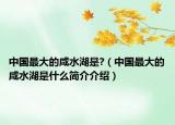 中国最大的咸水湖是?（中国最大的咸水湖是什么简介介绍）