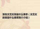 皆在文言文里是什么意思（文言文的皆是什么意思简介介绍）