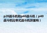 p20战斗机和p40战斗机（p40战斗机比零式战斗机厉害吗）