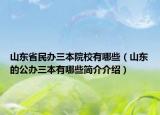 山东省民办三本院校有哪些（山东的公办三本有哪些简介介绍）