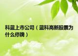 科蓝上市公司（蓝科高新股票为什么停牌）