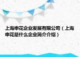 上海申花企业发展有限公司（上海申花是什么企业简介介绍）