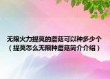 无限火力提莫的蘑菇可以种多少个（提莫怎么无限种蘑菇简介介绍）