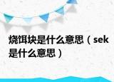 烧饵块是什么意思（sek是什么意思）