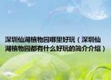 深圳仙湖植物园哪里好玩（深圳仙湖植物园都有什么好玩的简介介绍）