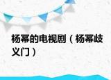 杨幂的电视剧（杨幂歧义门）