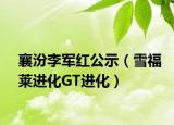 襄汾李军红公示（雪福莱进化GT进化）