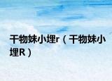 干物妹小埋r（干物妹小埋R）