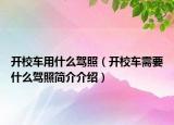 开校车用什么驾照（开校车需要什么驾照简介介绍）
