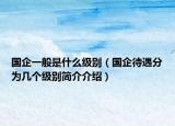 国企一般是什么级别（国企待遇分为几个级别简介介绍）