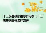 十二烷基磺酸钠怎样溶解（十二烷基磺酸钠怎样溶解）