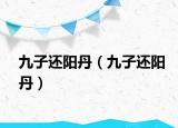 九子还阳丹（九子还阳丹）