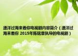 漂洋过海来看你电视剧内容简介（漂洋过海来看你 2015年陈铭章执导的电视剧）