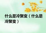 什么是冷聚变（什么是冷聚变）