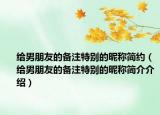 给男朋友的备注特别的昵称简约（给男朋友的备注特别的昵称简介介绍）