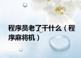 程序员老了干什么（程序麻将机）