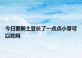 今日更新土豆长了一点点小芽可以吃吗
