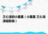王心凌的小星星（小星星 王心凌演唱歌曲）