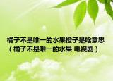 橘子不是唯一的水果橙子是啥意思（橘子不是唯一的水果 电视剧）