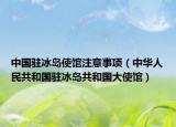 中国驻冰岛使馆注意事项（中华人民共和国驻冰岛共和国大使馆）