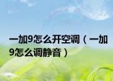 一加9怎么开空调（一加9怎么调静音）