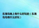 东海岛晚上有什么好玩的（东海岛岛有什么好玩）