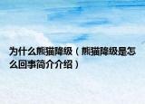 为什么熊猫降级（熊猫降级是怎么回事简介介绍）
