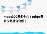 mbps300是多少兆（mbps是多少兆简介介绍）