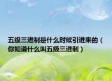 五级三进制是什么时候引进来的（你知道什么叫五级三进制）