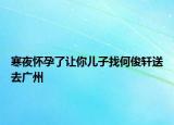寒夜怀孕了让你儿子找何俊轩送去广州