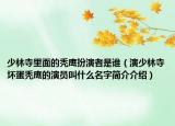 少林寺里面的秃鹰扮演者是谁（演少林寺坏蛋秃鹰的演员叫什么名字简介介绍）