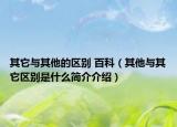 其它与其他的区别 百科（其他与其它区别是什么简介介绍）