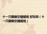 十一只眼睛交错视线 好玩吗（十一只眼睛交错视线）